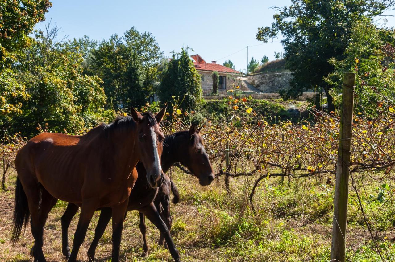Casa Nos Penedos Pension Arcos de Valdevez Buitenkant foto